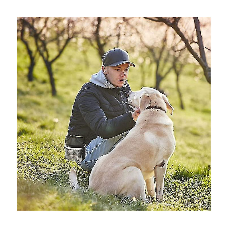 Dog Bag Dog Bag Convet For Carrying Pet Toys