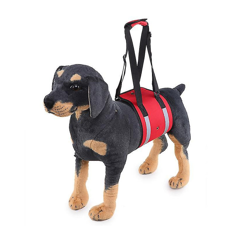 Pet Carrier Belt Dog Carrier Belt Pet Support Belt Pet Protective Belt Dog Protective Belt Pet Products Pet Carrier Belt Dog Carrier Belt Pet Support Belt Pet Protective Belt Dog Protective Belt Pet Products