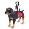 Pet Carrier Belt Dog Carrier Belt Pet Support Belt Pet Protective Belt Dog Protective Belt Pet Products Pet Carrier Belt Dog Carrier Belt Pet Support Belt Pet Protective Belt Dog Protective Belt Pet Products