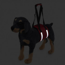 Pet Carrier Belt Dog Carrier Belt Pet Support Belt Pet Protective Belt Dog Protective Belt Pet Products
