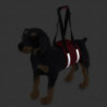 Pet Carrier Belt Dog Carrier Belt Pet Support Belt Pet Protective Belt Dog Protective Belt Pet Products Pet Carrier Belt Dog Carrier Belt Pet Support Belt Pet Protective Belt Dog Protective Belt Pet Products