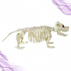 1pcs Dog For Decorations