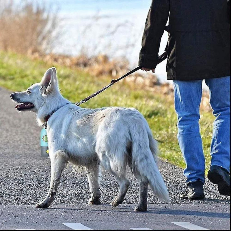 Fong 2 Pieces Dog Poop Waste Bag Holder Dispenser With Led Flashlight And 2 Rolls Dog Poop Waste Bags Leak-proof [...]