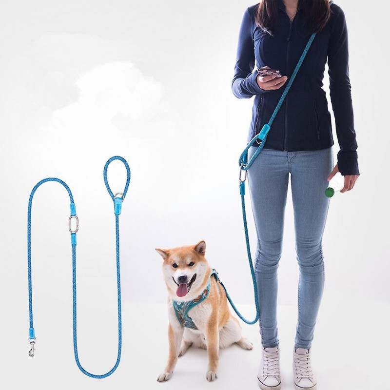Portable Silk Double Head Dog Leash Dog Accessories |