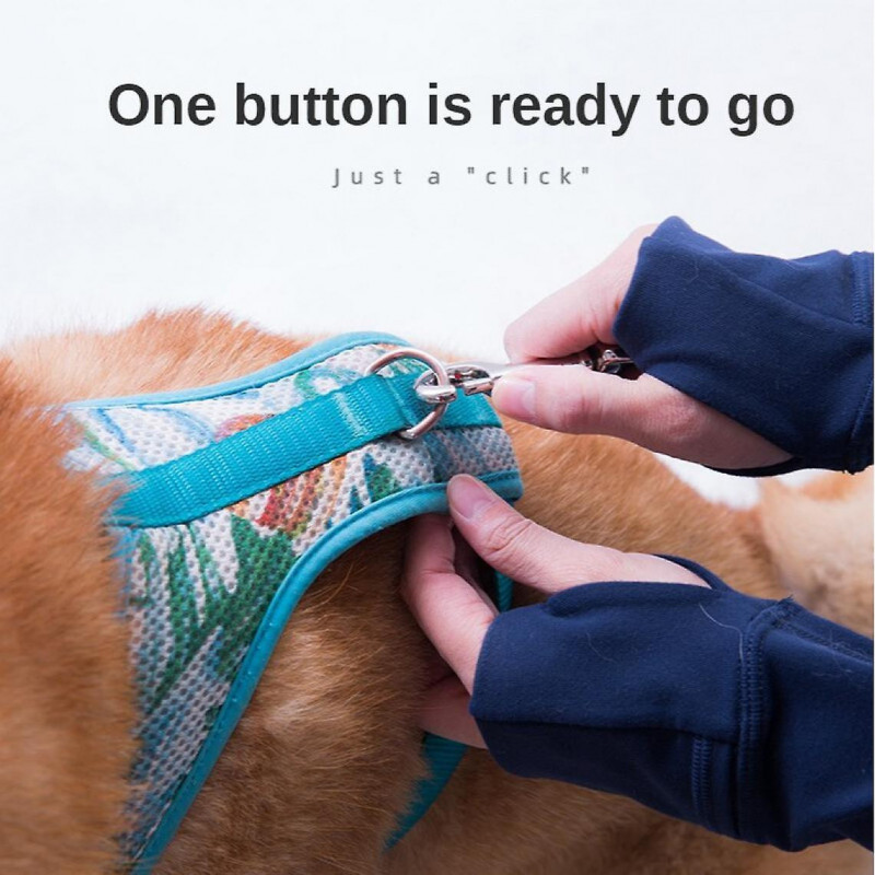 Portable Silk Double Head Dog Leash Dog Accessories |