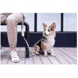Pet Supplies, Dog Leash, Elastic Explosion-proof Okinawa Dog Rope, For
