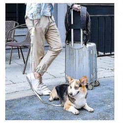 Pet Supplies, Dog Leash, Elastic Explosion-proof Okinawa Dog Rope, For