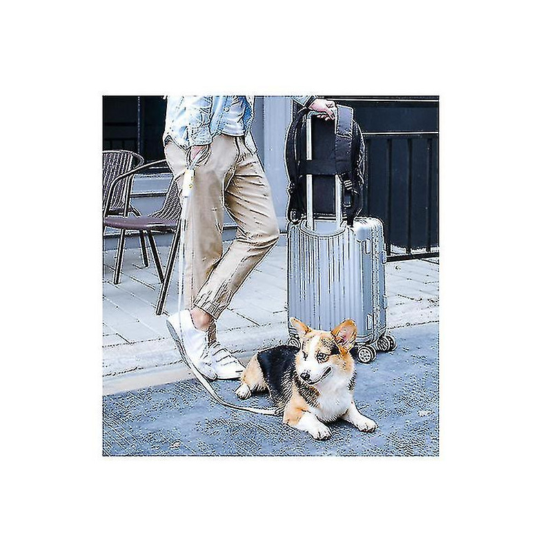 Pet Supplies, Dog Leash, Elastic Explosion-proof Okinawa Dog Rope, For