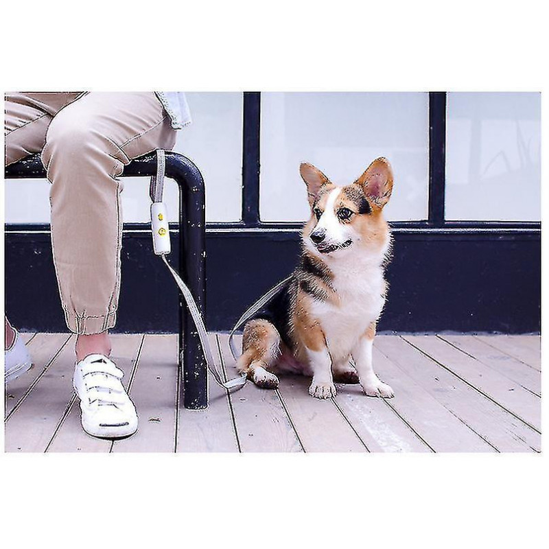 Pet Supplies, Dog Leash, Elastic Explosion-proof Okinawa Dog Rope, For