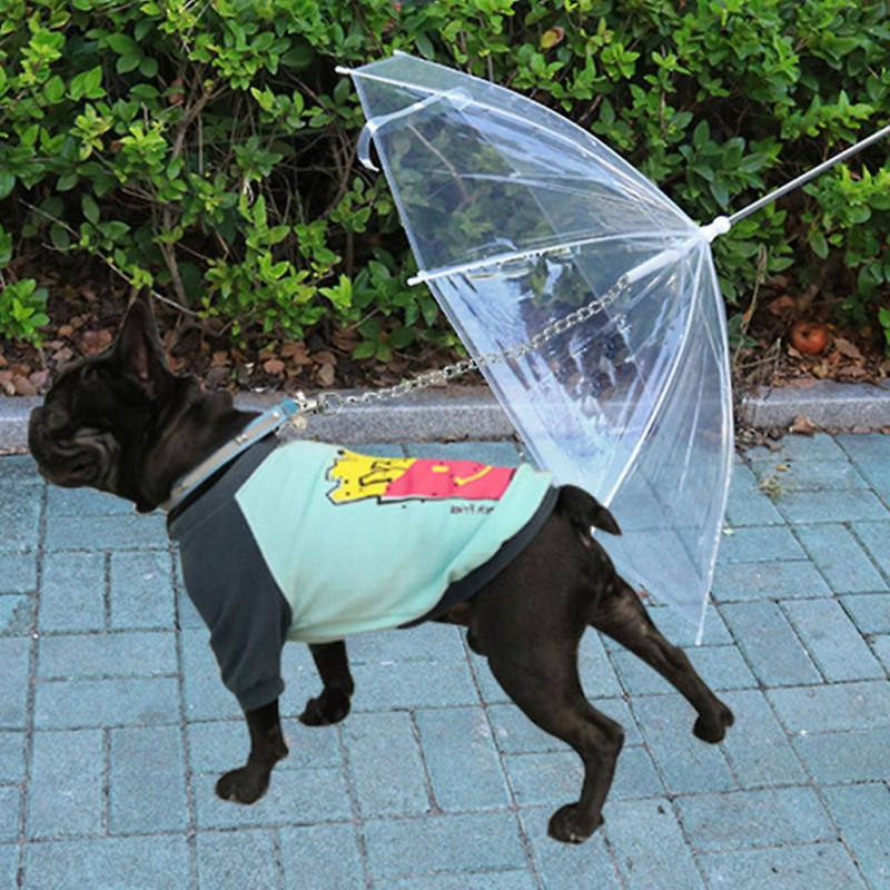 Pet Dog Umbrella Leash Transparent Umbrella for Small Dog Outdoor Walking