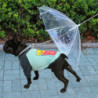 Pet Dog Umbrella Leash Transparent Umbrella for Small Dog Outdoor Walking