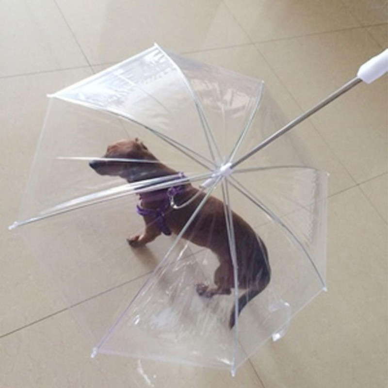 Pet Dog Umbrella Leash Transparent Umbrella for Small Dog Outdoor Walking