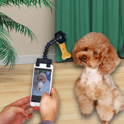Pets Selfie Stick, Pets Selfie Tool, Flexible Angle Dog Cellphone Treat Holder, Pets Selfie Clip Tool for [...]