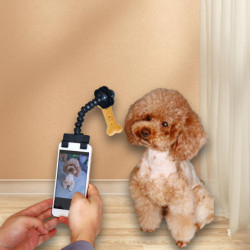 Pets Selfie Stick, Pets Selfie Tool, Flexible Angle Dog Cellphone Treat Holder, Pets Selfie Clip Tool for [...]