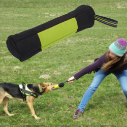 Portable Outdoor Dog Training Snack Reward Pouch Oxford Cloth Green