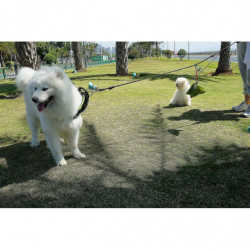 Dog Poop Bag Holder, Garbage Bag Holder, Dog Poop Bag Holder, Hands-free Stand, About 4.84*2.36 Inches In Length [...]