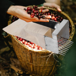 Berry Picker with Handle Berry Picker and Rake Daisy Flower Picker Garden Tool