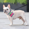 Dog Poop Bag Dispenser Dog Poop Bag Holder Hands-free Clip for Picking Up Dog Poop Bag Dispenser Dog Poop Bag Holder Hands-free Clip for Picking Up