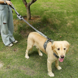 LDLC QS-080 Pet Waste Bag Dispenser Zippered Pouch Portable Dog Poop Bag Holder Leash Attachment,Dou