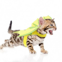 Pet Dinosaur Wing Light And Fluffy Neck Halloween Cat And Dog Cute Dress Pet Supplies