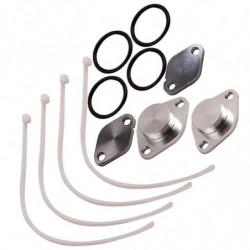 Egr Valve Blanking Plate Outil pour Land Rover Discovery 3 Range Rover 2.7 Tdv6