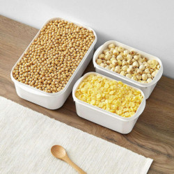 Household Refrigerator Fruit Grain Lunch Food Plastic Storage Box Case Dispenser