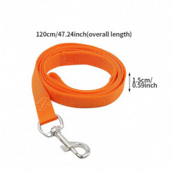 Fournitures pour animaux de compagnie de sécurité avec Boucle Anti Lost Outdoor Walking Dog Leash Accessoires