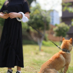 Pet Tow Cord Nylon Harness Led Night Light And Trash Bag Retractable Safety Roller Collar Dog Accessories