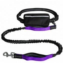 Multifunctional Reflective Nylon Pet Night Leash Dog Waist Bag