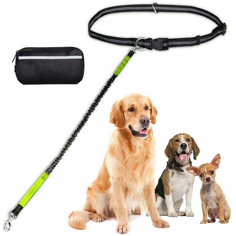 Multifunctional Reflective Nylon Pet Night Leash Dog Waist Bag