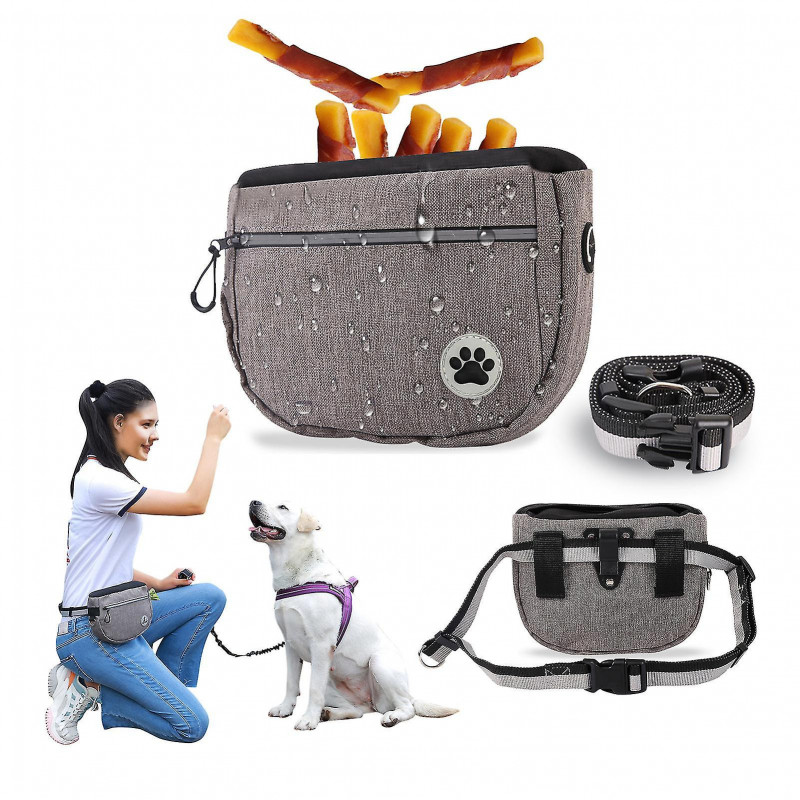 1 pochette de dressage de chien 1 ceinture grise