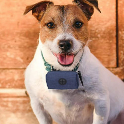 2 pièces Porte-sac à crottes Pour chiens Porte-excréments pour chiens Distributeur de caca pour chiens Sac à déchets C