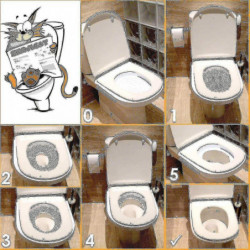 Cat toilet training kit helps train your cat to use the toilet