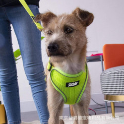 Nc 2022 New Pet Supplies Dog Automatic Hand Holding Rope Night Reflective Chest Strap Suit