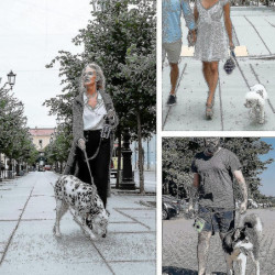 Dog Poop Bag Holder, Pet Garbage Bag Dispenser Holder Leash Attachment, 600d Oxford Cloth, Durable Metal Zipper [...]