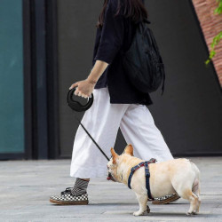 Adjustable Retractable Dog Leash With Led Torch Light, For Small And Medium-sized Dogs