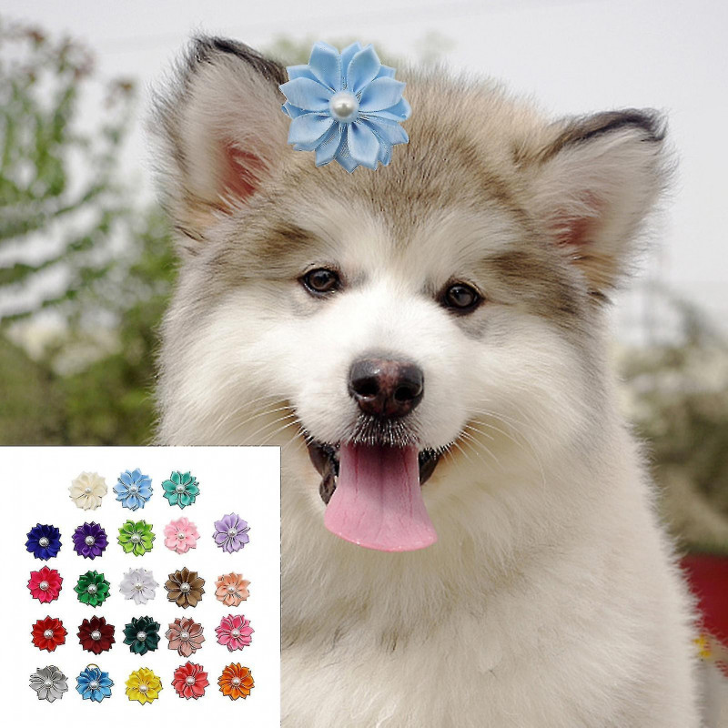 50pcs Pet Headdress Exquisite Shape Fade-resistant Webbing Small Dog Hair Clip Decor Colorful Pet Headwear Pet Supplies