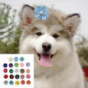 50pcs Pet Headdress Exquisite Shape Fade-resistant Webbing Small Dog Hair Clip Decor Colorful Pet Headwear Pet Supplies