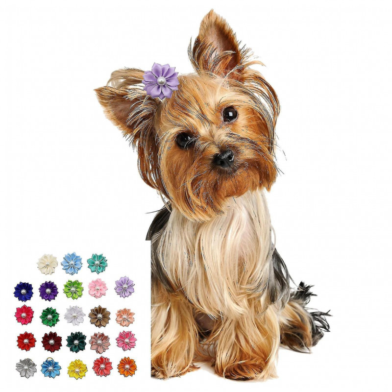 50pcs Pet Headdress Exquisite Shape Fade-resistant Webbing Small Dog Hair Clip Decor Colorful Pet Headwear Pet Supplies