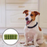 Biodégradable Pet Pickup Bag Dog Poop Bag Portable Pet Garbage Bag 8 Rolls Box 256g