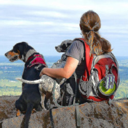 Dog Poop Bag Holder, Pet Garbage Bag Dispenser Holder Leash Attachment, 600