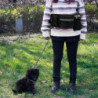 Sac ceinture pour les propriétaires de chiens Sac de hanche résistant aux intempéries pour le dressage de chien