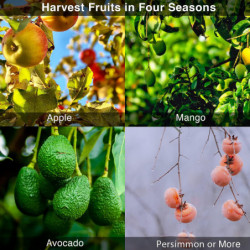 Outil de perche de cueilleur de fruits avec manche long télescopique de panier, outil de perche de cueillette de [...]