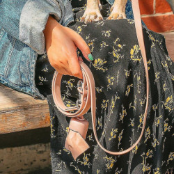 Dog Poop Bag Carrier Portable Dog Pet Waste Bag Dispenser Luxury Stylish Dog Garbage Holder Dispensers Pet [...]