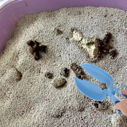 Pooper Scooper,Pet Pickup Clip,Waste Picker,Scissor Shovel Pick Clamp for Pet Dog Puppy Cat,Cleaning Tools