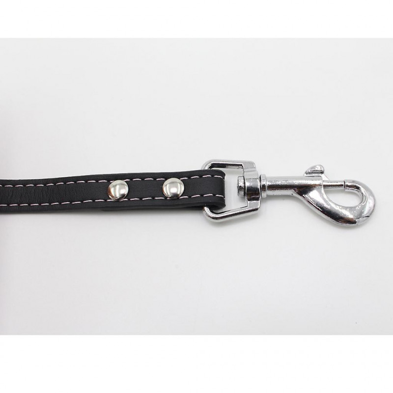 120cm Length Simple Dog Outdoor Walking Leash Lead