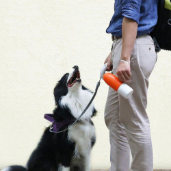 Pet water cup portable one-button lock dog cat outdoor fashion travel water bottle dispenser