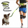 Pet Leash, Belt Bag Leash