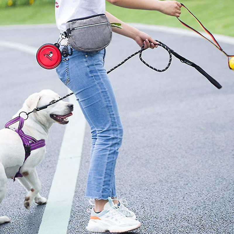 Sac de poche de friandises pour chiens pour l’entraînement, fermeture automatique Sac de promenade portable pour [...]