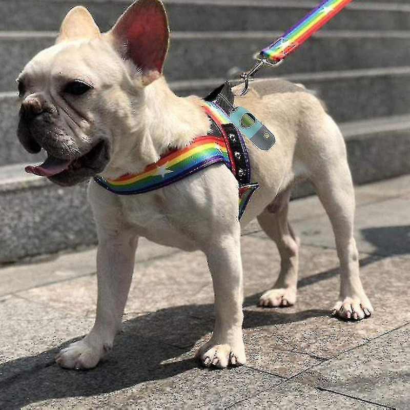 Distributeur de sac à crottes pour chiens avec lampe de poche LED intégrée et clip en métal pour laisse, déchets [...]